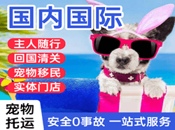 秦皇岛机场物流国际宠物托运 【国